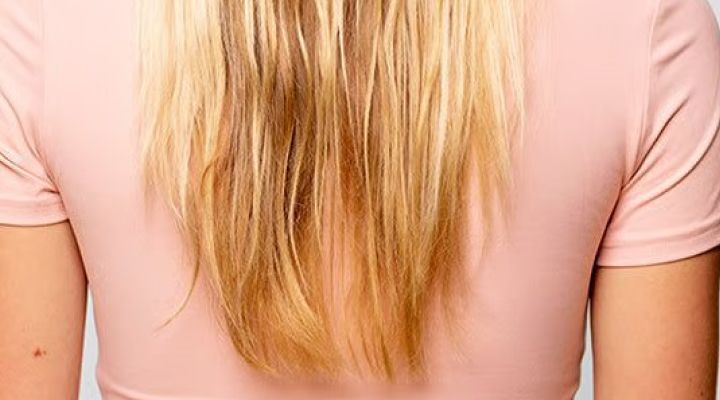 product banner 2